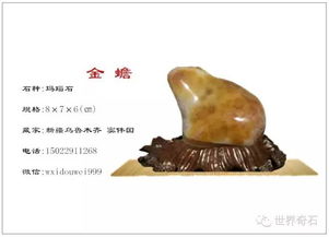 精品區(qū)藏品展播之三 珍貴收藏品賞析